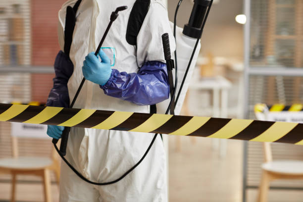 Professional Blood Cleanup technician working in Woodland, WA